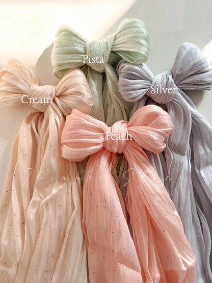 DSC Shimmery Organza Stone Hijabs