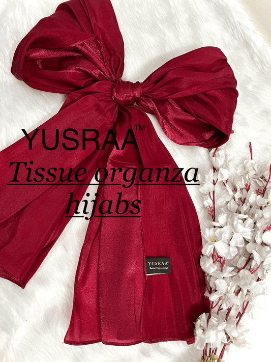 Tissue Organza Hijabs